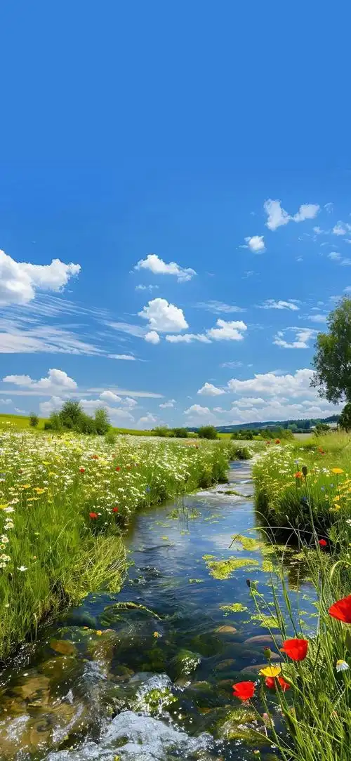 风景壁纸20250314